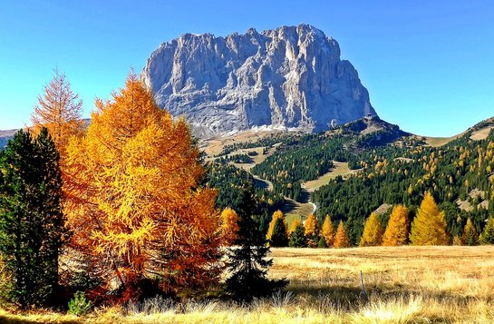 Nachhaltigkeit im Tourismus in Südtirol