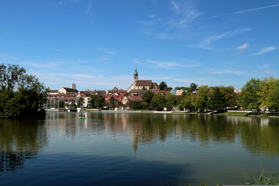 Development of Key Components for the Climate Change Adaptation Strategy of the Böblingen District
