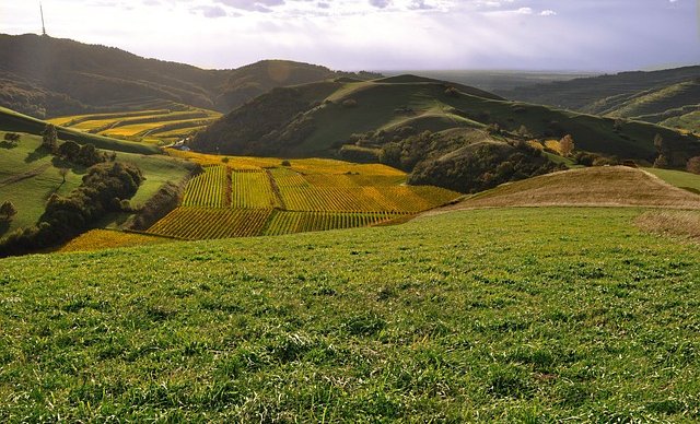 Panorama der Kaiserstuhlregion.