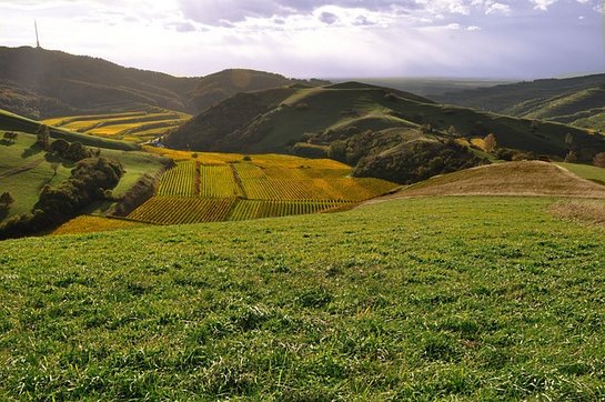 Municipal Climate Adaptation Convoy in the District of Breisgau-Hochschwarzwald