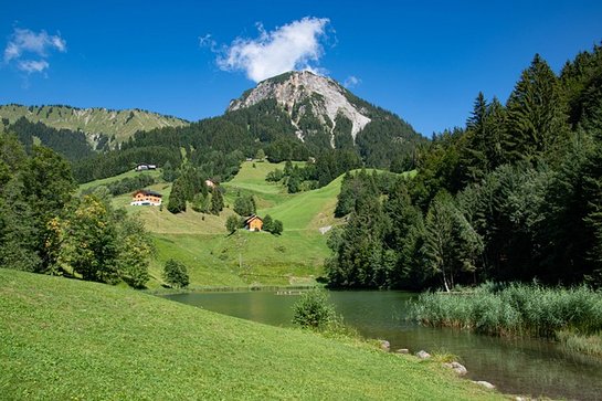 KLAR! Biosphärenpark Großes Walsertal