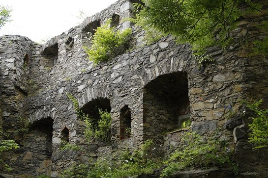 In-depth consulting on the topic of climate adaptation