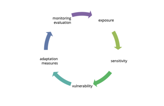 Pathways to a shared understanding of climate impacts