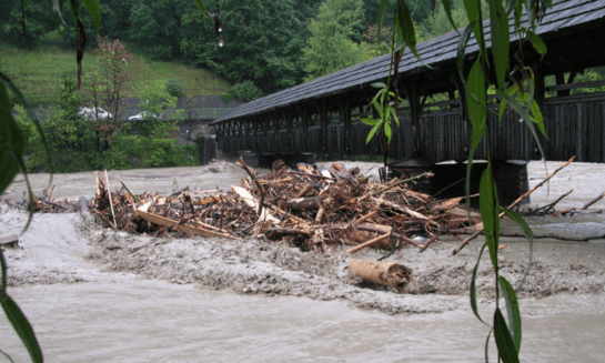 FFSA Flood Frequency and Seasonality Analysis – Hochwasserstatistik und Saisonalitätsauswertung