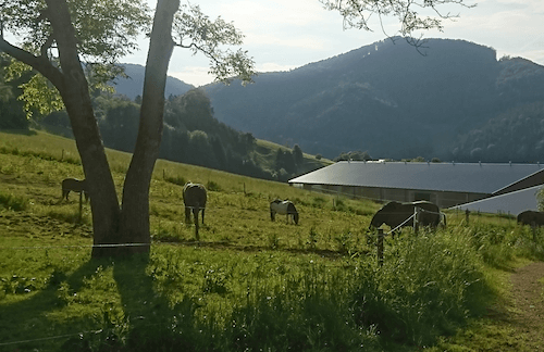 Allihopa Projektbegleitung Machbarkeitsstudie